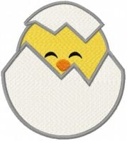 Cute Baby Chick