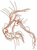 Cat Muzzle Sketch Free Embroidery Design