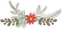Spruce Branch