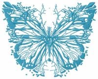 Broken Butterfly