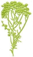 Autumn Flower Free Embroidery Design