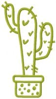 Cactus Pot
