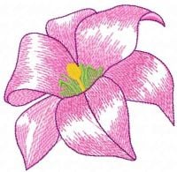 Gladiolus Free Embroidery Design