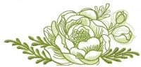 Green Rose Sketch