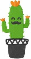 Succulent Sactus