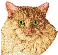 Cat Photo Stitch Embroidery Esign