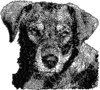 Dachshund Free Machine Embroidery Design