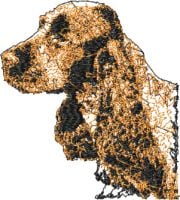 Irish Setter Free Machine Embroidery Design