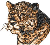Jaguar 2 Free Embroidery Design