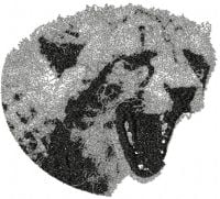 Jaguar Attack Free Machine Embroidery Design
