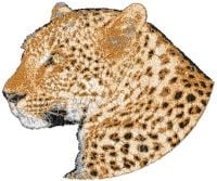Loving Leo Free Embroidery Design