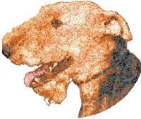 Terrier Free Photo Stitch Machine Embroidery Design