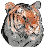 Tiger Color Photo Stitch Free Embroidery Design