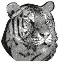 Tiger Photo Stitch Embroidery Design