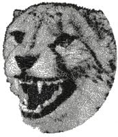 Wild Leopard Free Photo Embroidery Design
